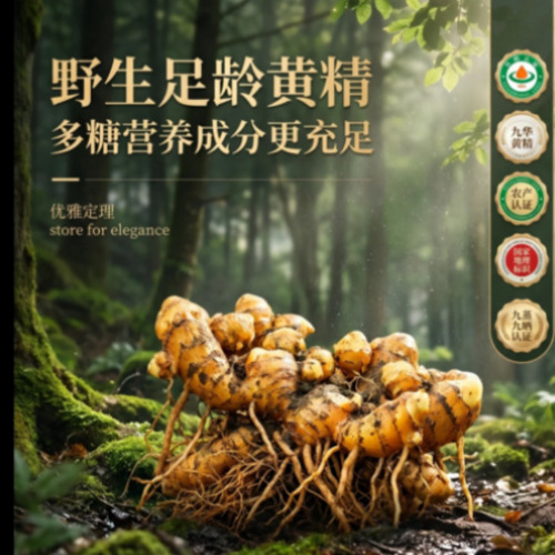 电商一键生视频案例